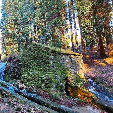 Matos Casas De Campo Кабесейрас де Басто Екстериор снимка