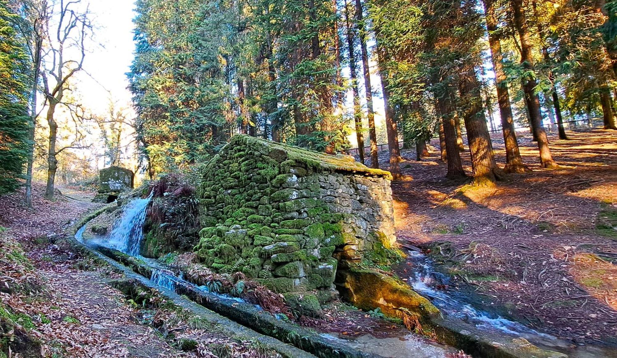 Matos Casas De Campo Кабесейрас де Басто Екстериор снимка